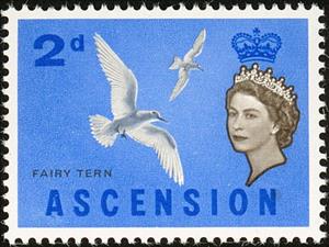 Stamp, White Tern (Gygis alba), Ascension Island,  , Birds, Animals (Fauna)