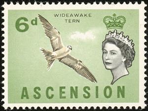 Stamp, Sooty Tern (Sterna fuscata), Ascension Island,  , Birds, Animals (Fauna)