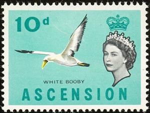 Stamp, Masked Booby (Sula dactylatra), Ascension Island,  , Birds, Animals (Fauna)