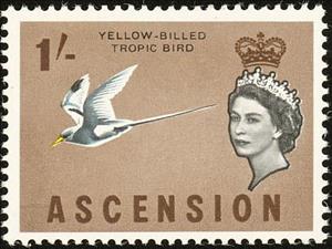 Stamp, White-tailed Tropicbird (Phaethon lepturus), Ascension Island,  , Birds, Animals (Fauna)