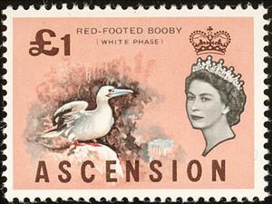 Stamp, Red-footed Booby (Sula sula), Ascension Island,  , Birds, Queens, Animals (Fauna)