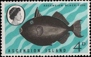 Stamp, Black Triggerfish  (Melichthys ringens) , Ascension Island,  , Fishes