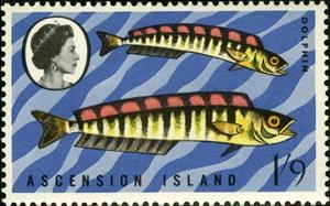 Stamp, Dolphinfish (Coryphaena equisetis), Ascension Island,  , Fishes
