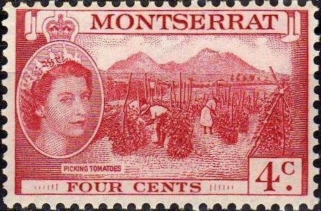 Stamp, Picking tomatoes, Montserrat,  , Agriculture, Queens