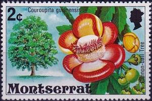 Stamp, Cannonball tree, Montserrat,  