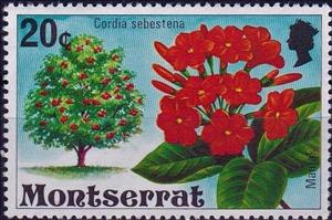 Stamp, Manjak, Montserrat,  