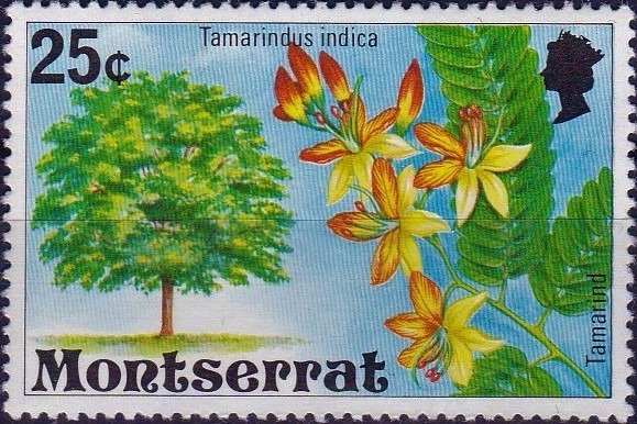 Tamarind