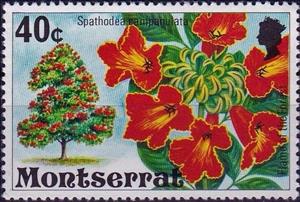 Stamp, Flame of the Forest, Montserrat,  