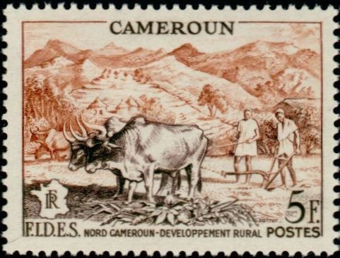 Developpement rural-rural Development