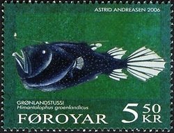 Atlantic Footballfish (Himantolophus groenlandicus) 