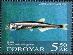 Elongated Bristlemouth (Gonostoma elongatum)