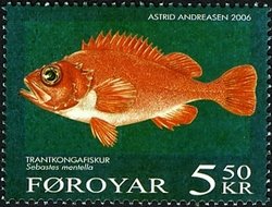 Deepwater Redfish (Sebastes mentella) 