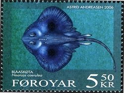 Blue-ray (Neoraja caerulea) 