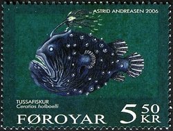 Kroyer's Deep-sea Angler Fish (Ceratias holboelli) 