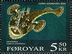 Anglerfish (Lophius piscatorius)