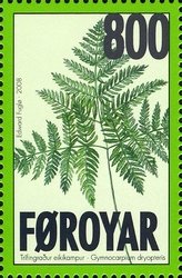 Gymnocarpium dryopteris