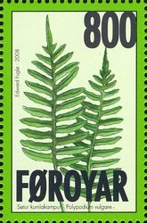 Polypodium vulgare