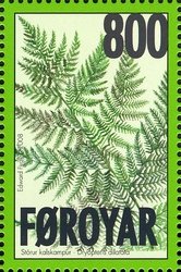 Ferns