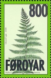 Ferns