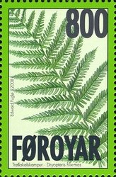 Ferns