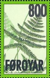 Ferns