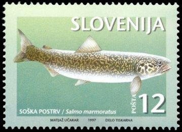 Animals of Slovenia-Threatened types of fresh water fish