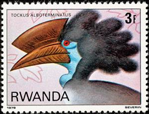 Stamp, Black-casqued Hornbill (Ceratogymna atrata), Rwanda,  , Birds, Animals (Fauna)