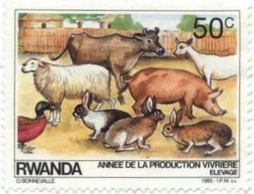 Farm Animals