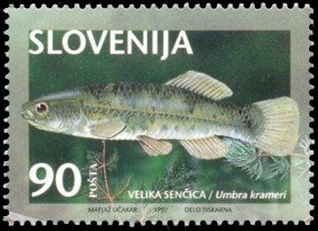 Animals of Slovenia-Threatened types of fresh water fish