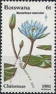 Stamp, Nymphaea caerulea, Botswana,  