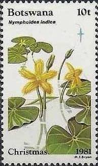 Nymphoides indica