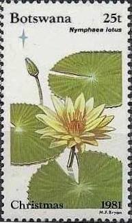 Stamp, Nymphaea lotus, Botswana,  , Flowers, Plants (Flora), Lotus (Flower)