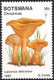 Stamp, Orange milk, Botswana,  , Mushrooms
