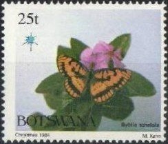 Common Joker (Byblia acheloia)