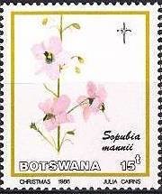 Sopubia mannii