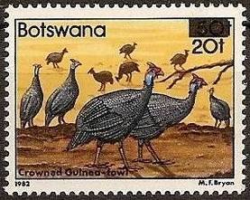 Stamp, Helmeted Guineafowl (Numida meleagris), Botswana,  