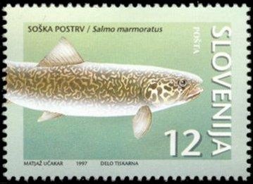 Animals of Slovenia-Threatened types of fresh water fish