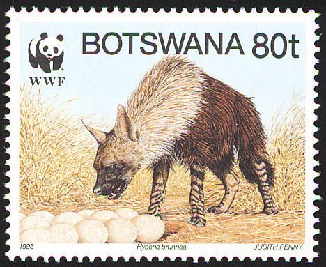 Brown Hyena (Hyaena brunnea)