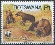 Brown Hyena (Hyaena brunnea)
