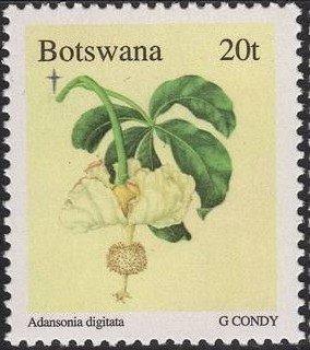 Stamp, Adansonia Digitata, Botswana,  