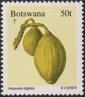 Adansonia Digitata