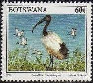 Stamp, African Sacred Ibis (Threskiornis aethiopicus), Botswana,  , Birds, Animals (Fauna)