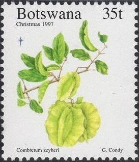 Stamp, Zeyheri, Botswana,  