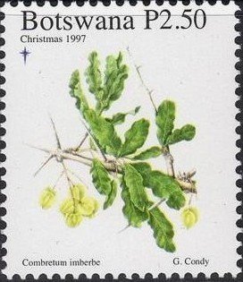 Stamp, Imberbe, Botswana,  