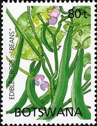 Stamp, Beans, Botswana,  , Agriculture, Vegetables
