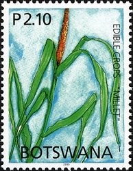 Stamp, Millet, Botswana,  , Agriculture
