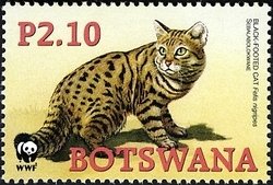 Stamp, Black-footed cat (Felis nigripes), Botswana,  , WWF, Animals (Fauna)