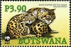 Stamp, Black-footed cat (Felis nigripes), Botswana,  , WWF, Animals (Fauna)