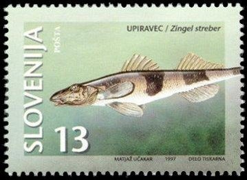 Animals of Slovenia-Threatened types of fresh water fish
