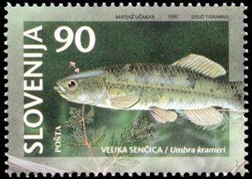 Animals of Slovenia-Threatened types of fresh water fish